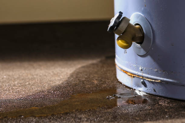 Best Fire Damage Restoration  in Ammon, ID