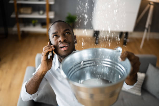 Best Mold removal after water damage  in Ammon, ID