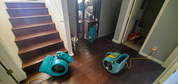Best Flood damage cleanup  in Ammon, ID