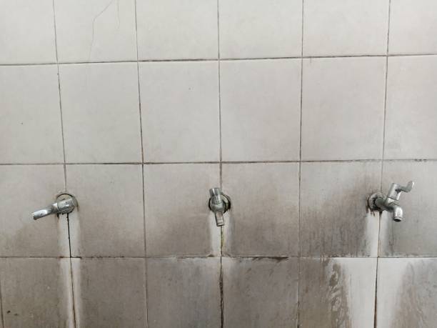 Best Ceiling water damage repair  in Ammon, ID