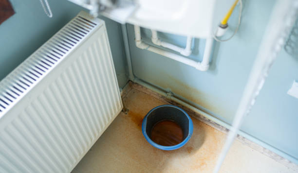 Best Flooded house restoration  in Ammon, ID