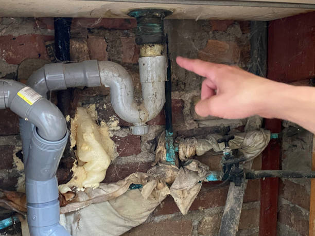 Best Sewage cleanup and water damage restoration  in Ammon, ID