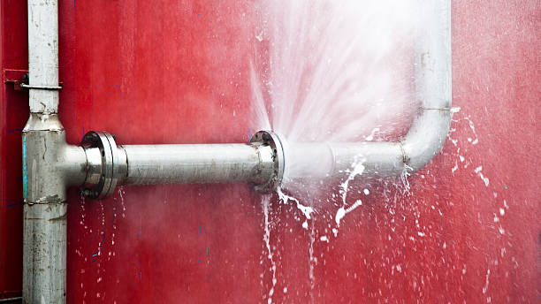 Best Carpet water damage restoration  in Ammon, ID